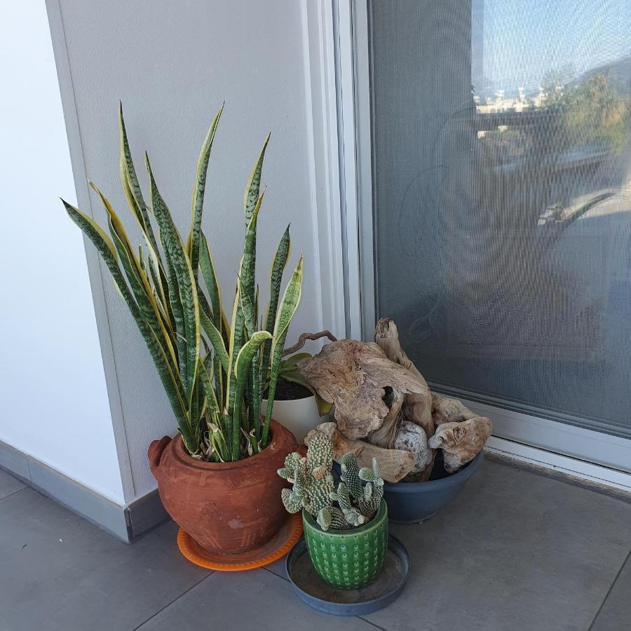 Latchi Ithaki, 2 Bedroom Penthouse Exterior foto
